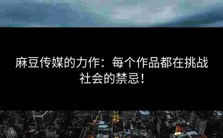 麻豆传媒的力作：每个作品都在挑战社会的禁忌！